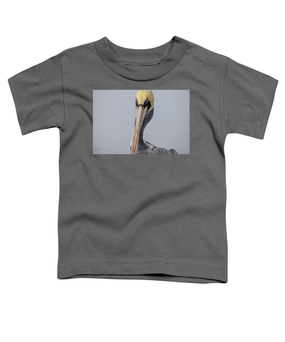 Brown Toddler T-Shirt featuring the photograph Gloomy and Gray by Christopher Rice