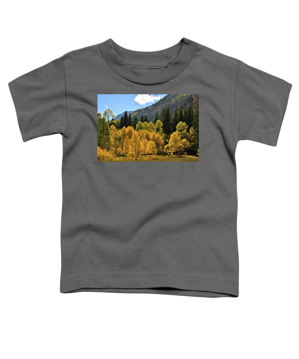 Colorado Toddler T-Shirt featuring the photograph Golden Aspens on the Road to Marble Colorado by Ray Mathis