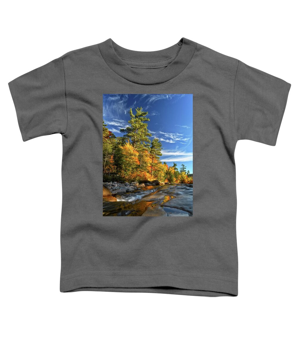 Fall Foliage Nh Toddler T-Shirt featuring the photograph Golden Autumn Light NH by Michael Hubley
