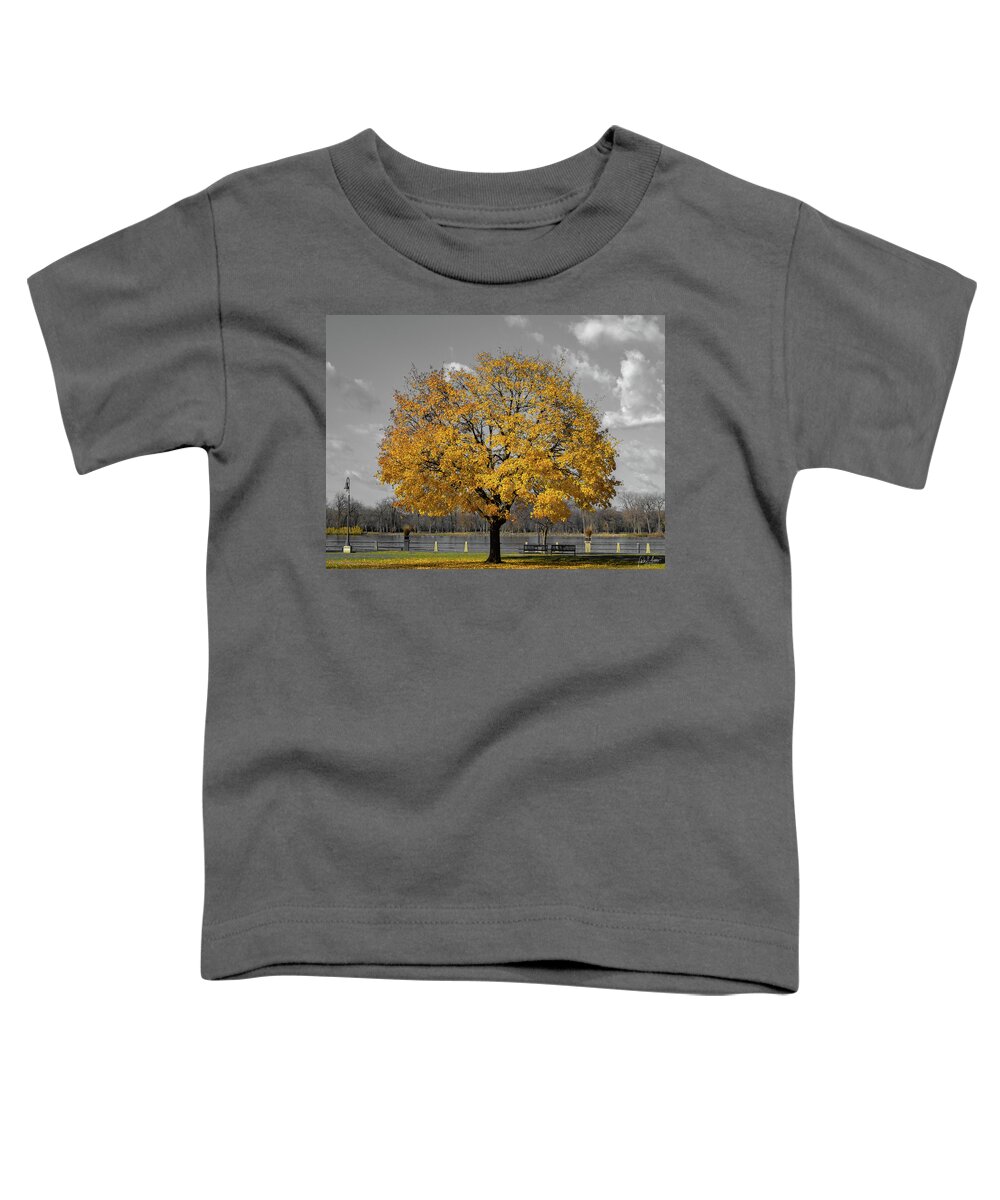 Tree Toddler T-Shirt featuring the photograph Golden Gray Day by Phil S Addis