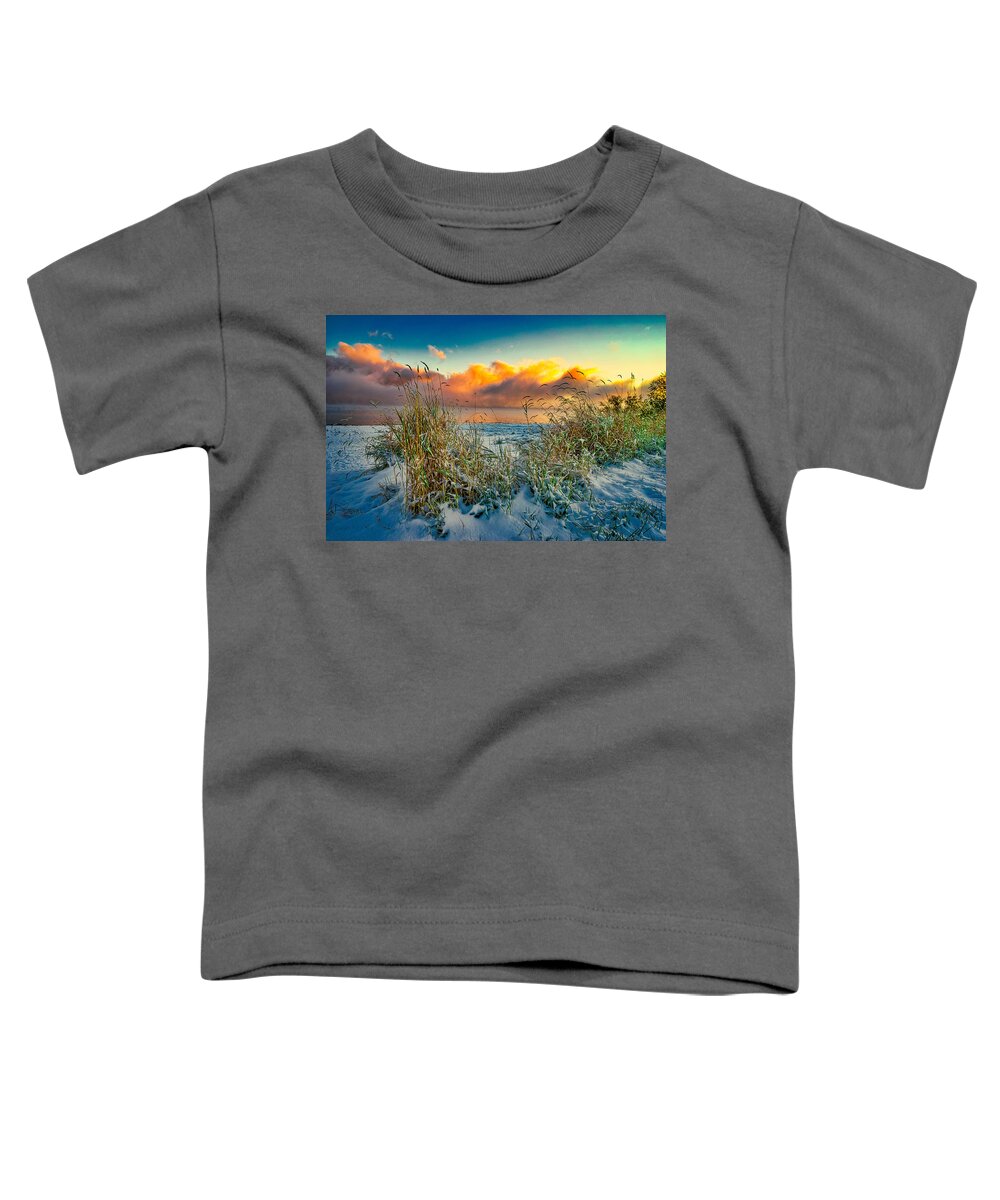 Idaho Toddler T-Shirt featuring the photograph Grass and Snow Sunrise by Tom Gresham