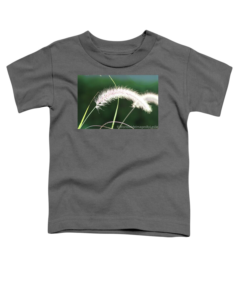 Gardens Toddler T-Shirt featuring the photograph Grass in Sunlight by Leslie Struxness