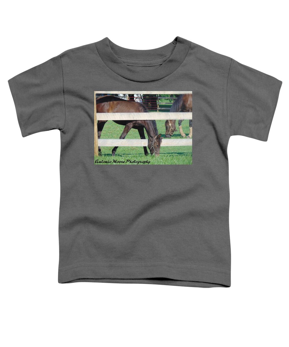 Horse Toddler T-Shirt featuring the photograph Grazing Beauty by Antonio Moore