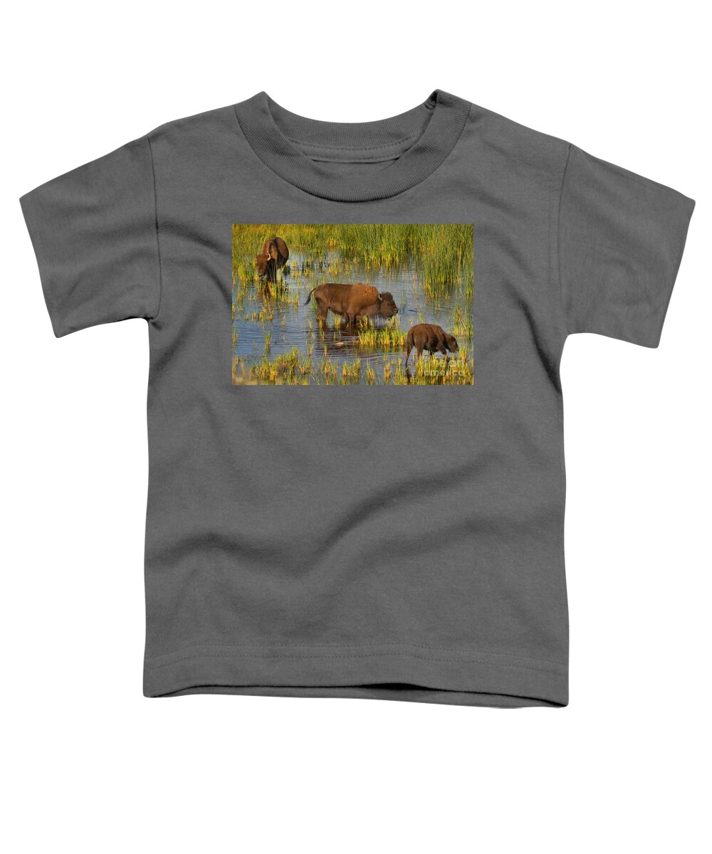 Bison Toddler T-Shirt featuring the photograph Grazing IN The Slough Creek Marsh by Adam Jewell