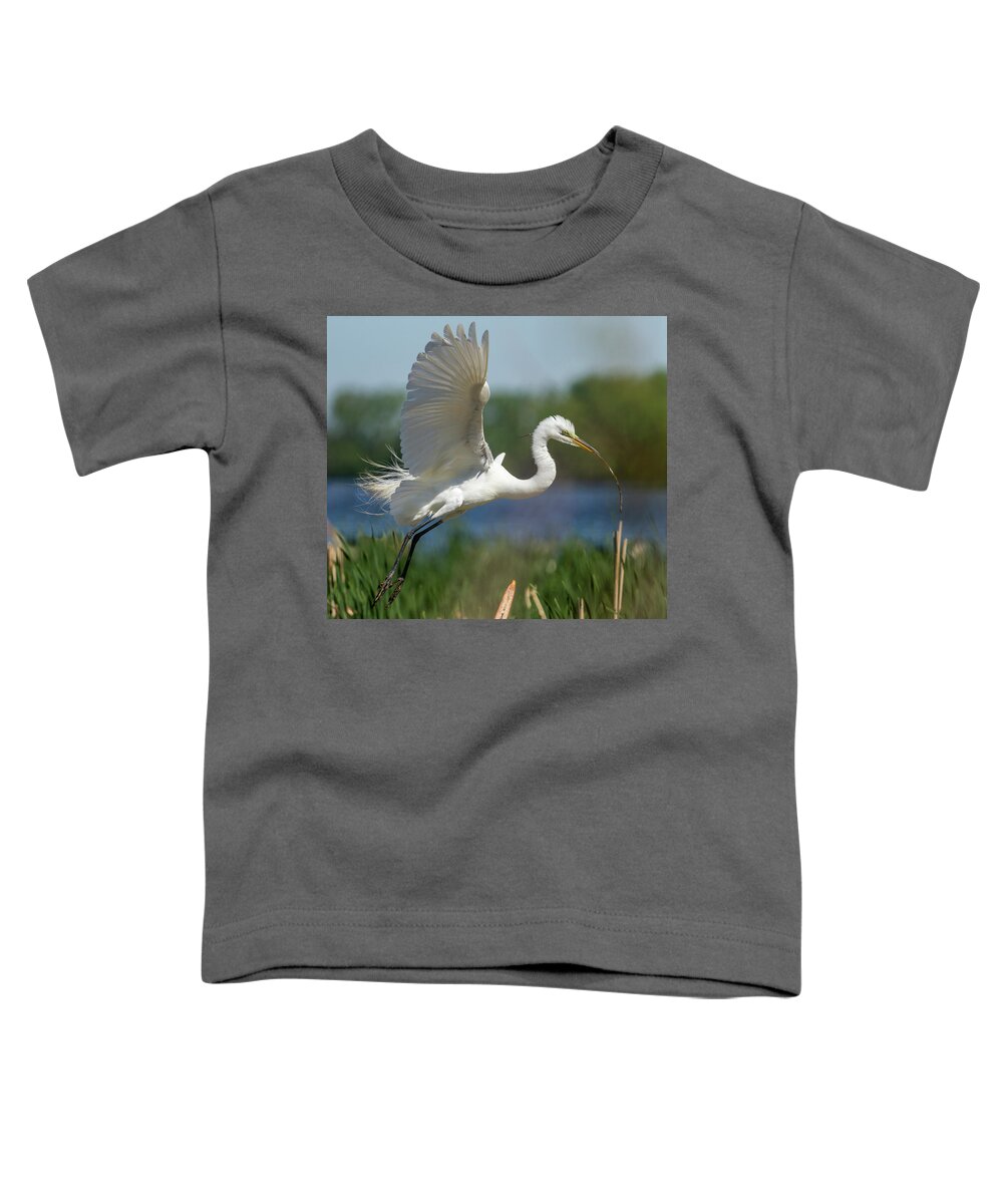 Great Egret Toddler T-Shirt featuring the photograph Great Egret 2014-1 by Thomas Young