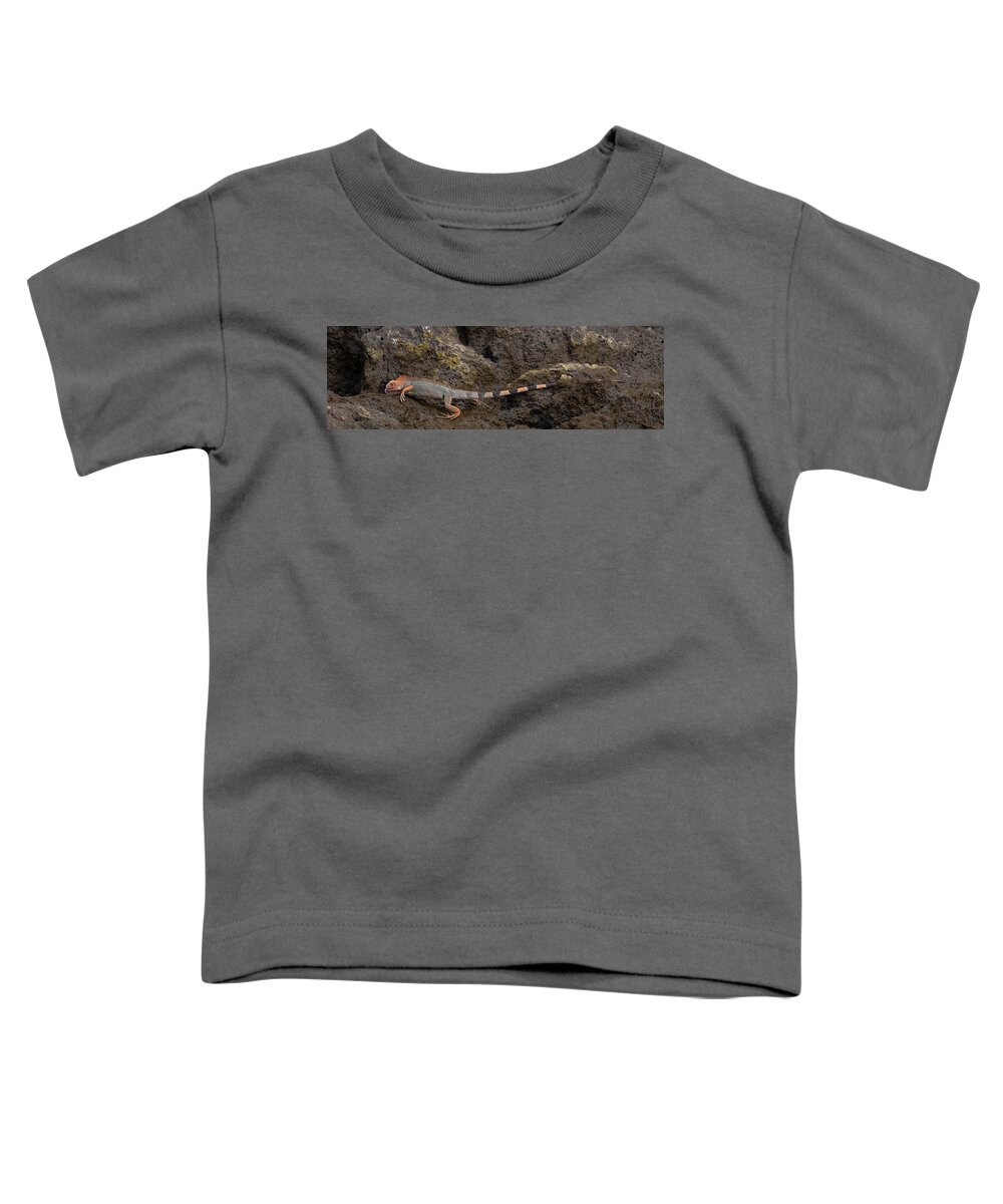 Iguana Toddler T-Shirt featuring the photograph Green Iguana by Patrick Nowotny