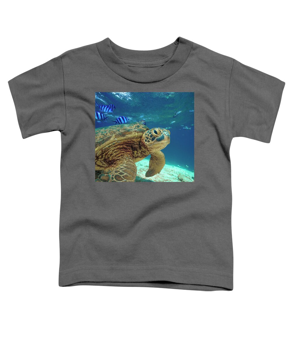 00586423 Toddler T-Shirt featuring the photograph Green Sea Turtle, Balicasag Island, Philippines by Tim Fitzharris