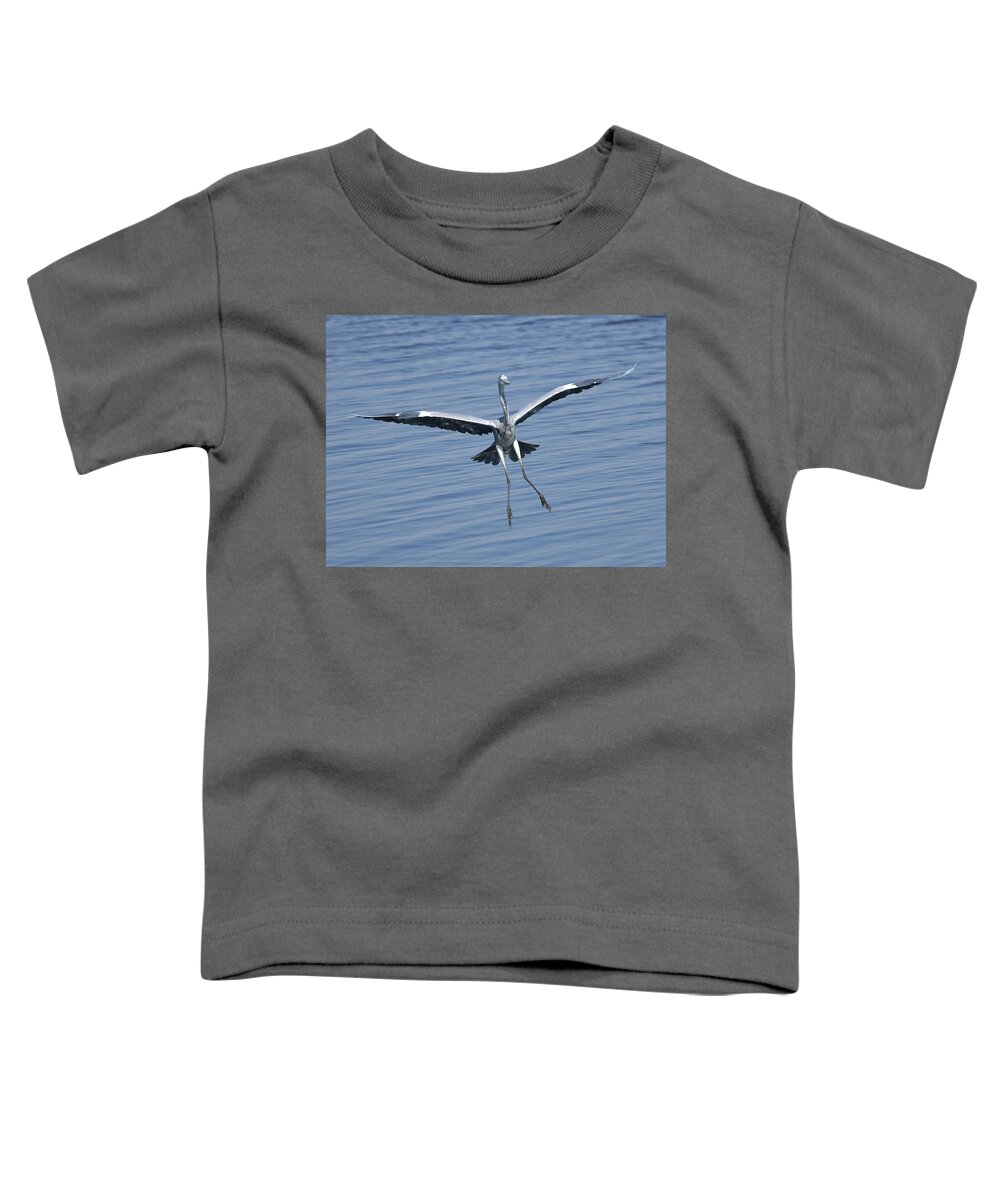 Heron Toddler T-Shirt featuring the photograph Grey Heron in for a Landing by Ben Foster