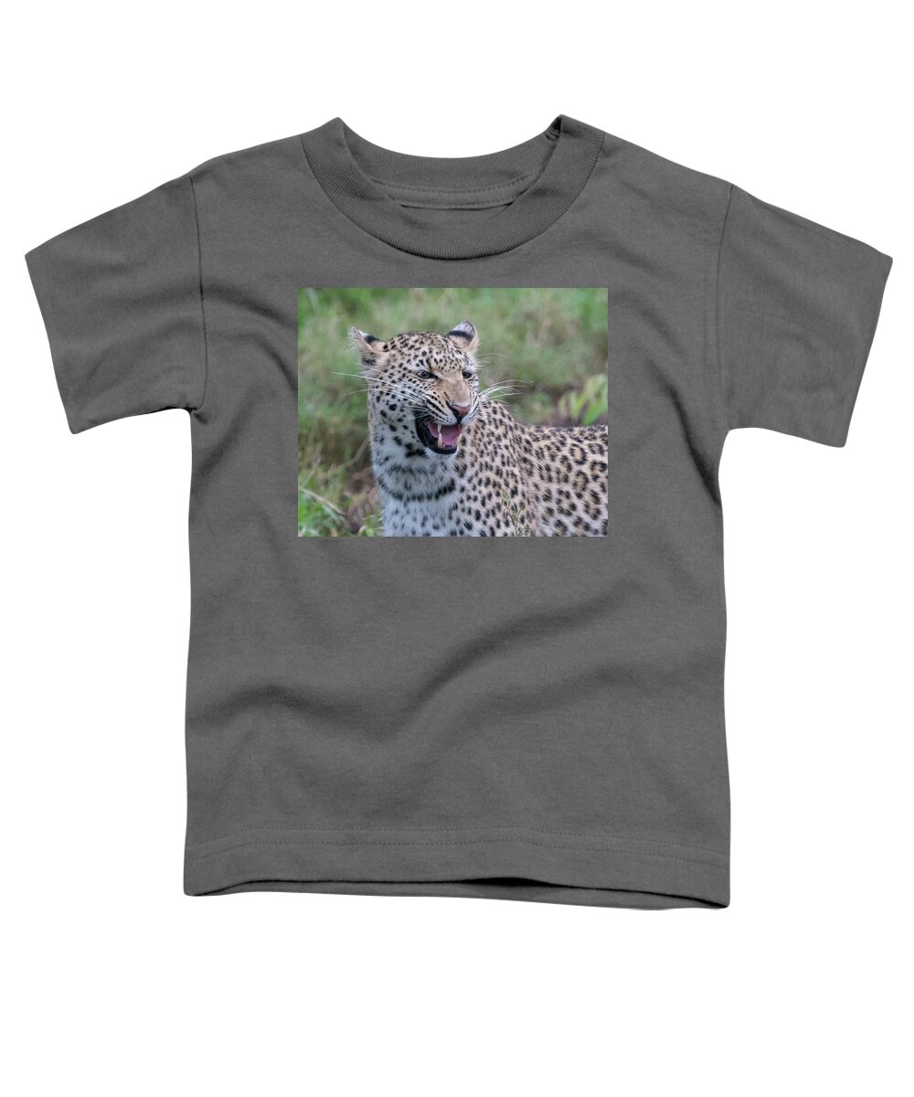 Leopard Toddler T-Shirt featuring the photograph Grimacing leopard by Mark Hunter