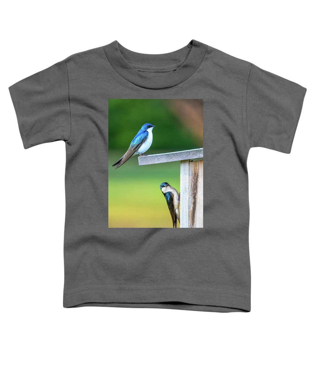 Swallow Toddler T-Shirt featuring the photograph Happy Home by Brad Bellisle