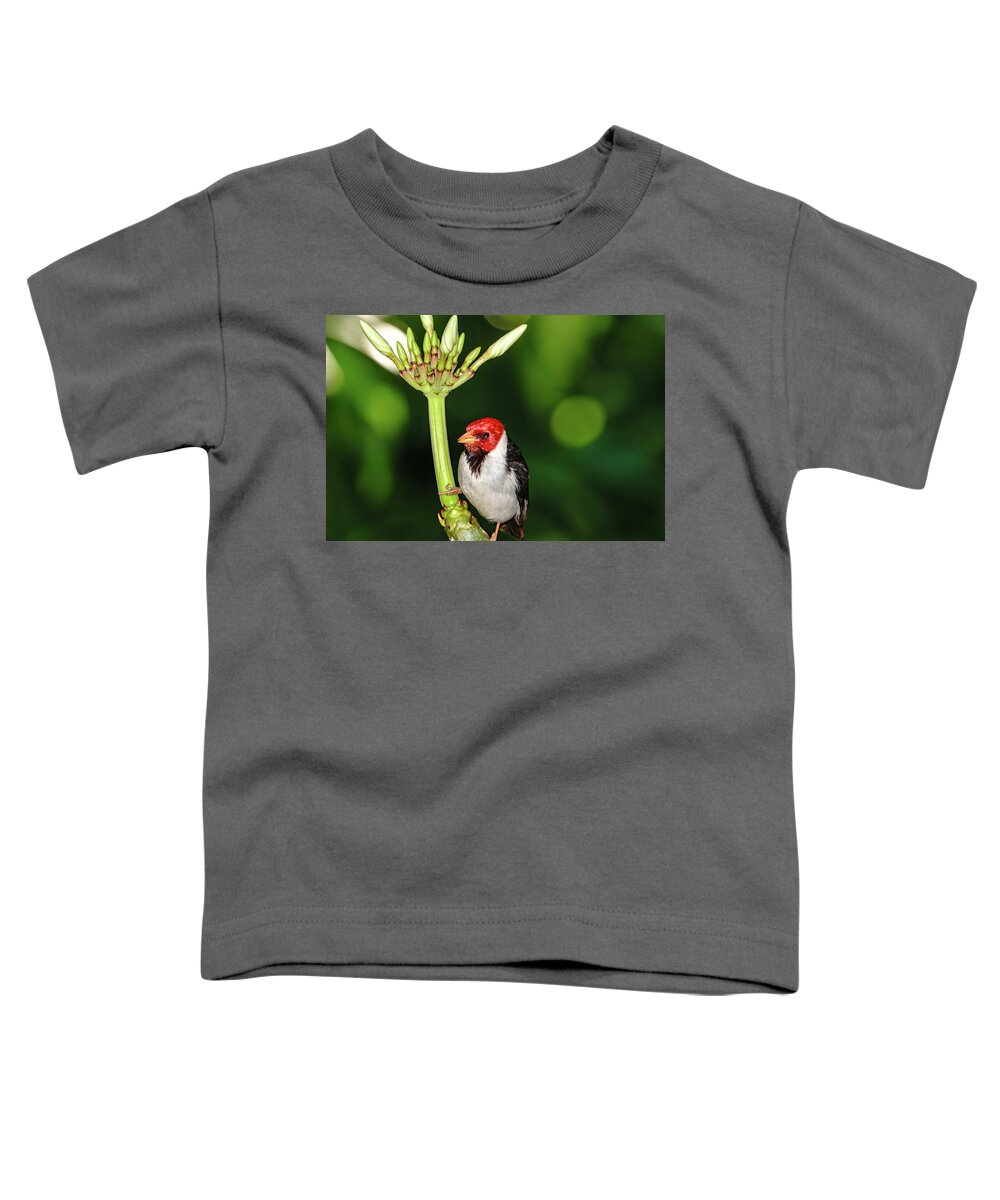 Hawaii Toddler T-Shirt featuring the photograph Happy Valentine's Day Bird by John Bauer