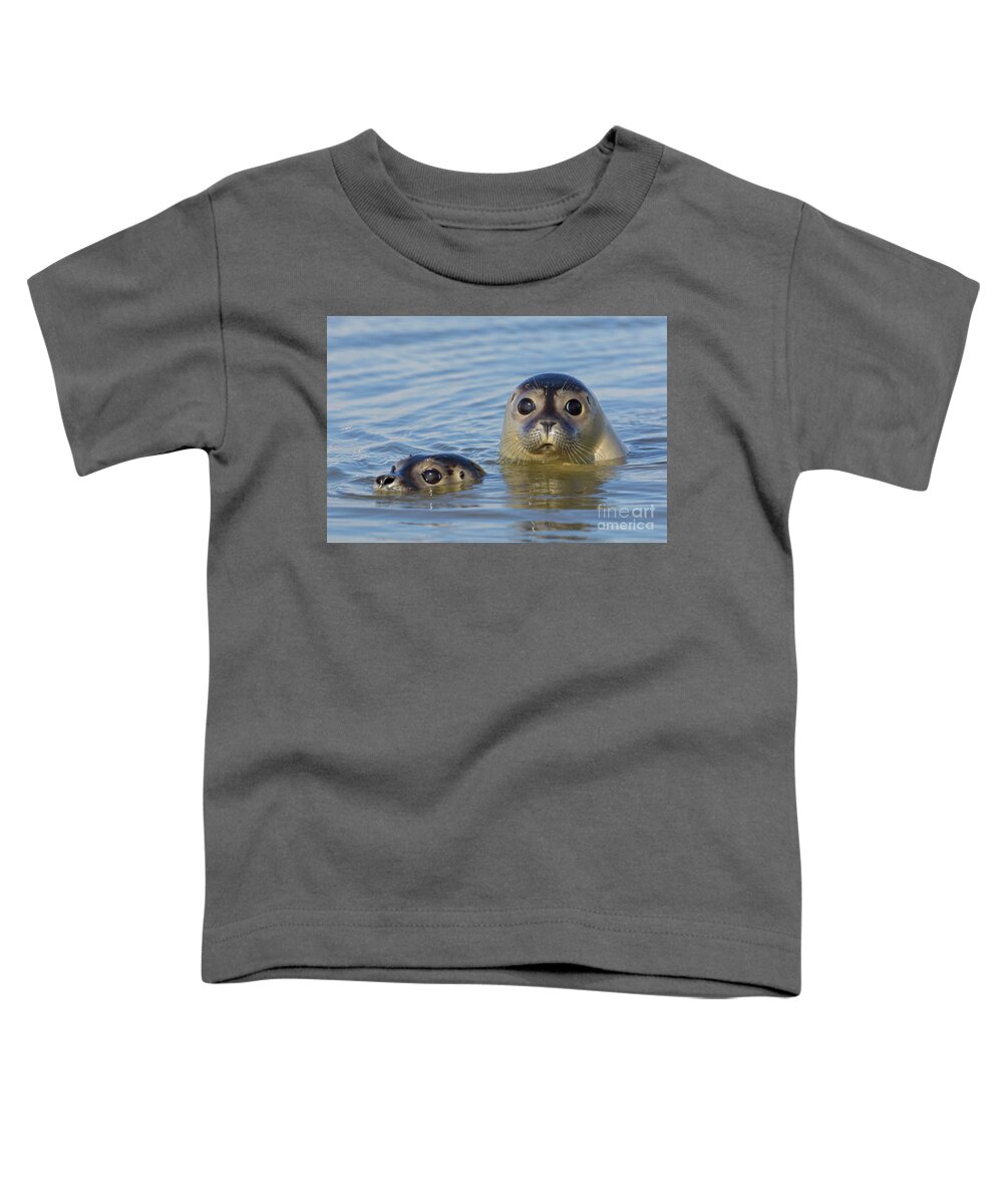 Two Toddler T-Shirt featuring the photograph Harbor Seals by Arterra Picture Library