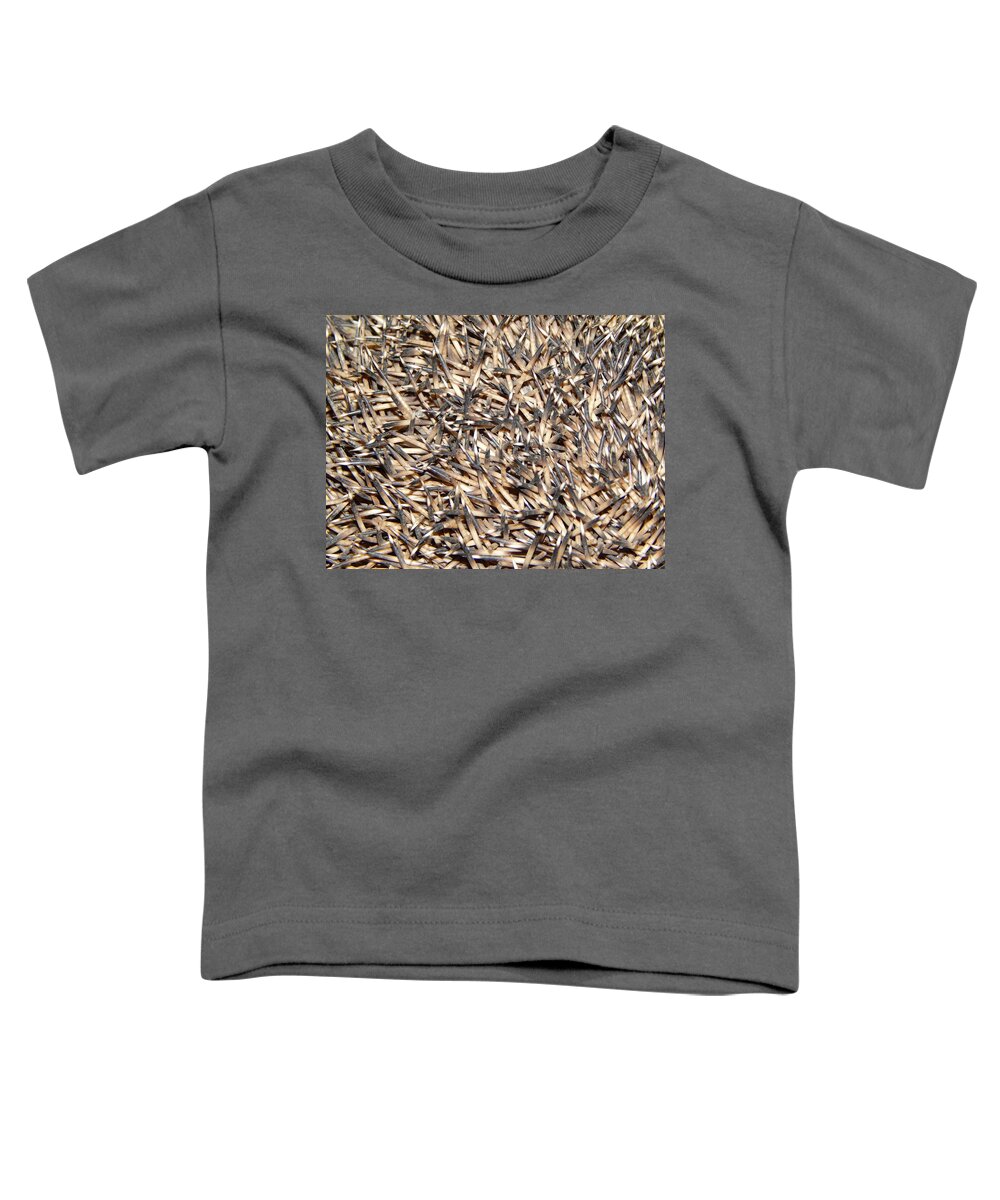 Hedgehog Toddler T-Shirt featuring the photograph Hedgehog on the ground by Oleg Prokopenko