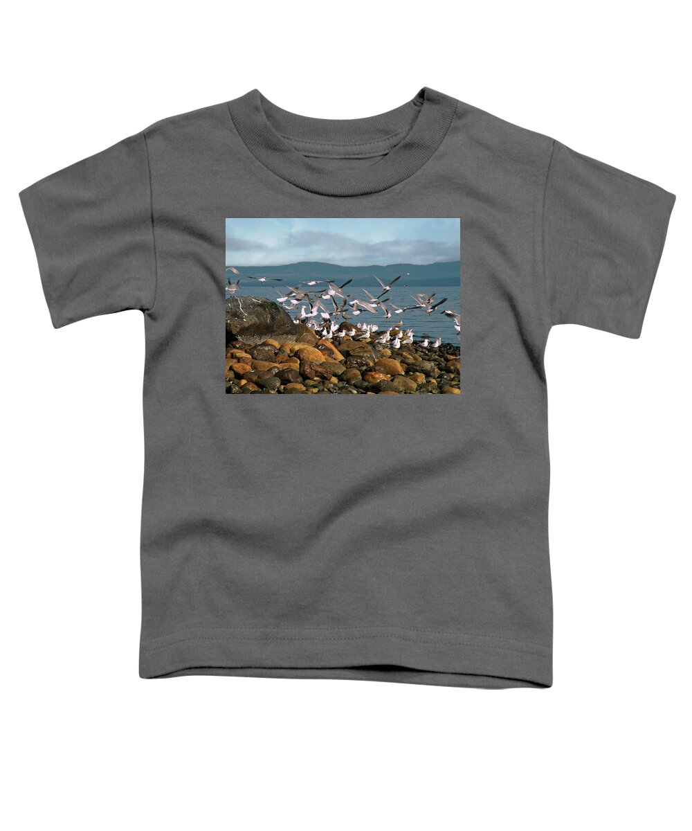 Herring Season Toddler T-Shirt featuring the photograph Herring Season by Micki Findlay