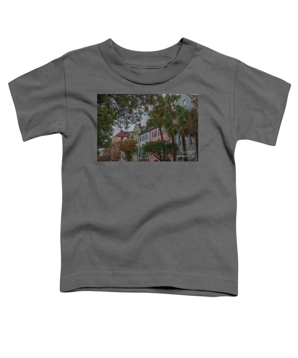 Battery Toddler T-Shirt featuring the photograph High Battery in December by Dale Powell