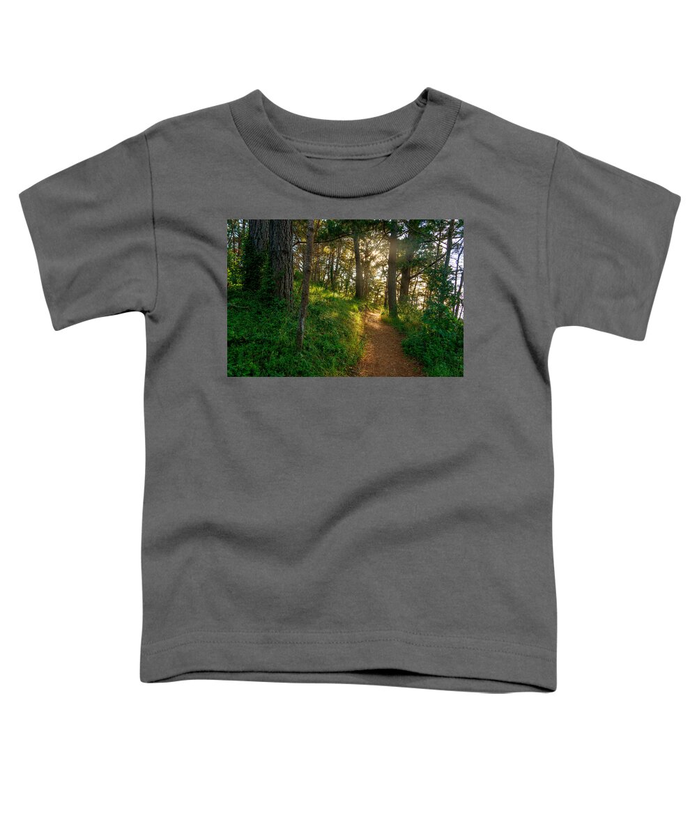 Hillside Path Toddler T-Shirt featuring the photograph Hillside Path by Derek Dean