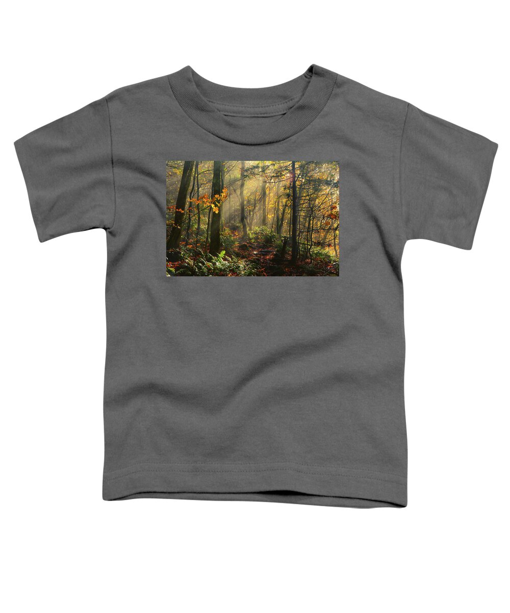  Rays Of Sun After A Storm Toddler T-Shirt featuring the photograph Horizontal Rays of Sun After a Storm by Raymond Salani III