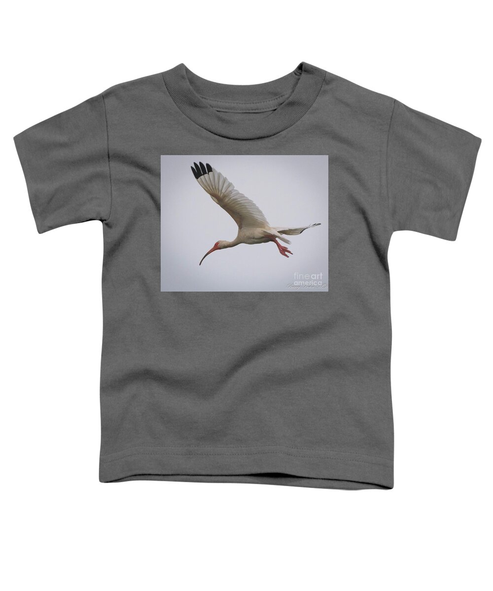 Nature Toddler T-Shirt featuring the photograph Ibis in flight by Barry Bohn