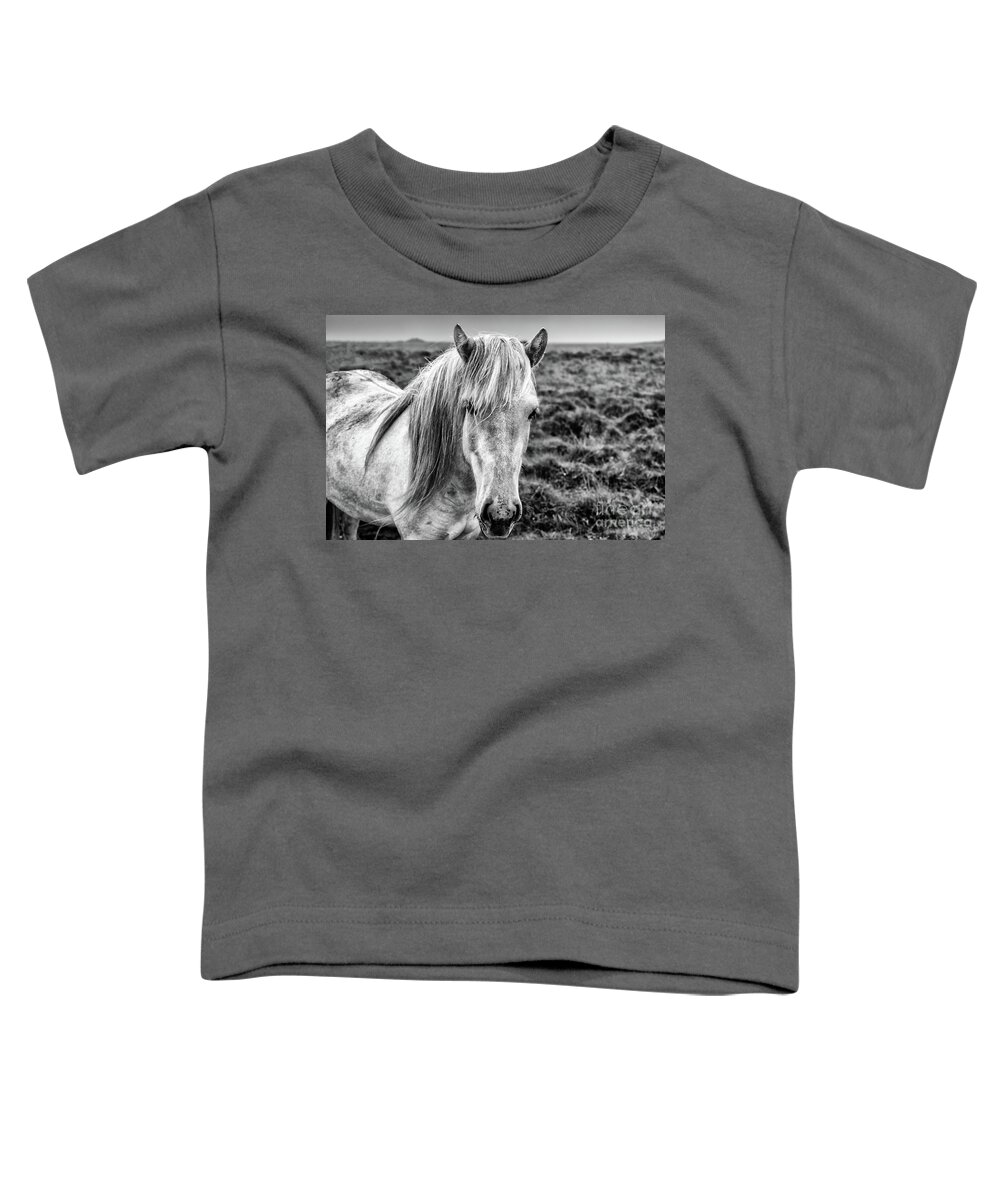 Icelandic Horse Toddler T-Shirt featuring the photograph Iceland White Horse by M G Whittingham