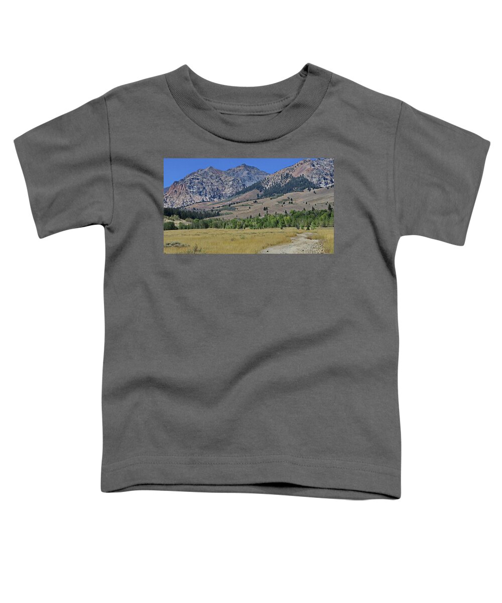 Idaho Toddler T-Shirt featuring the photograph Idaho Late Summer by Russ Harris