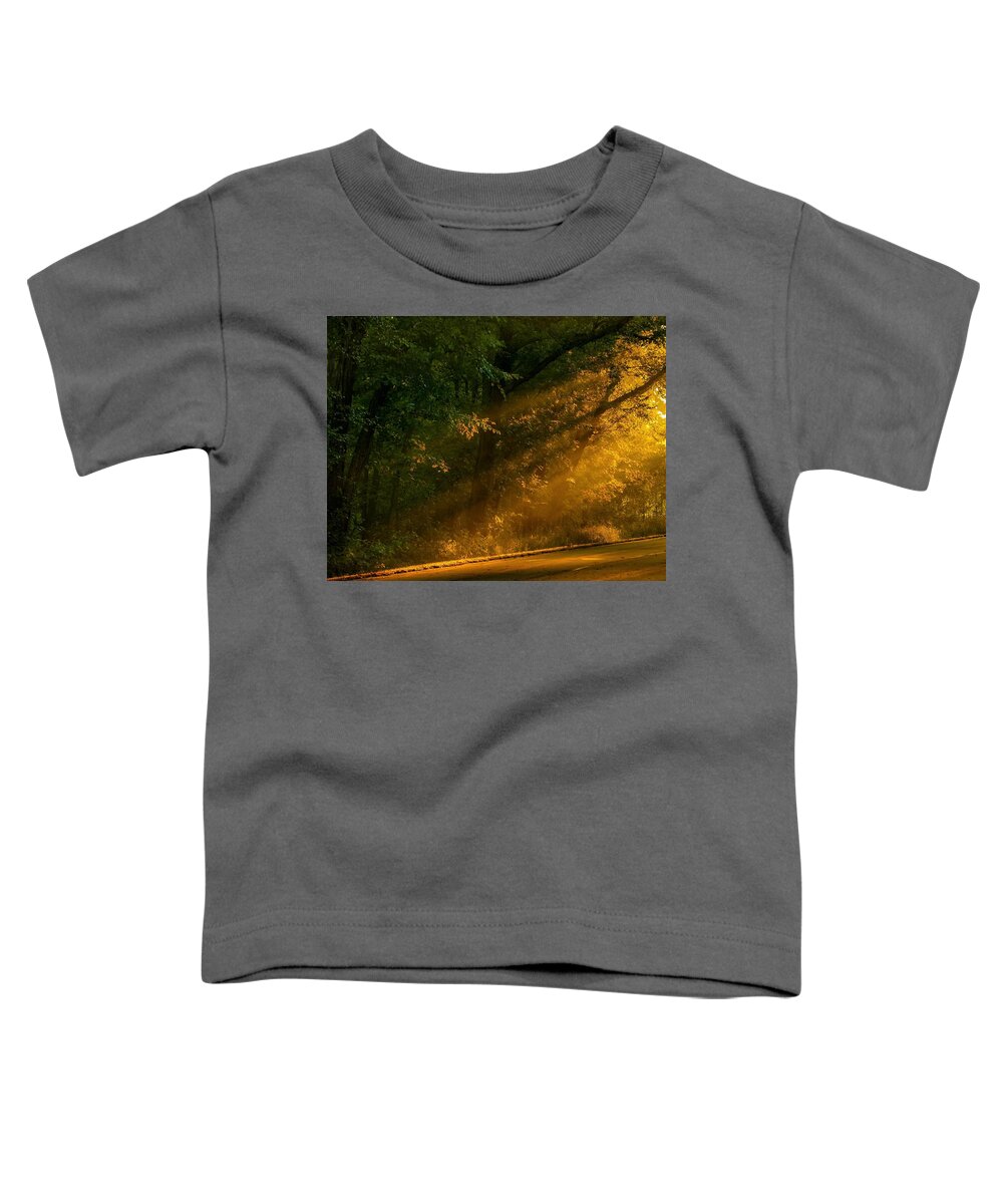 Light Beams Toddler T-Shirt featuring the photograph Into the LIght by Sandra J's