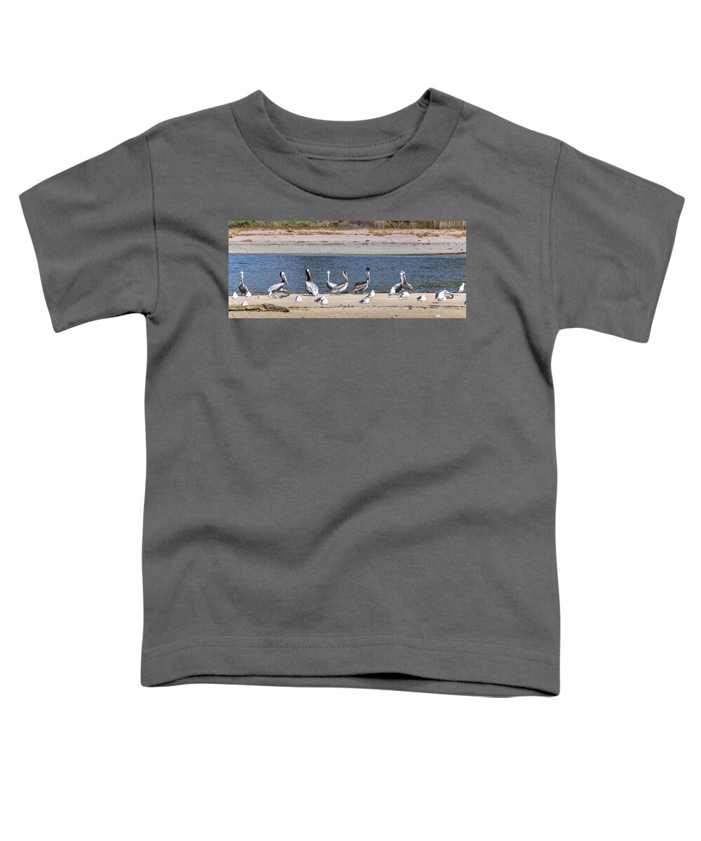 Pelicans Toddler T-Shirt featuring the photograph Is Everyone Here by Gene Parks