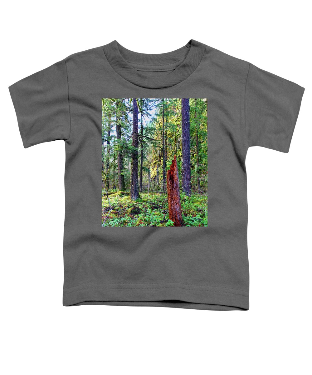 Conifer Toddler T-Shirt featuring the photograph January 1000 ft yet no snow Oregon USA conifer forest beautiful quiet mossy Mount Hood National by Robert C Paulson Jr