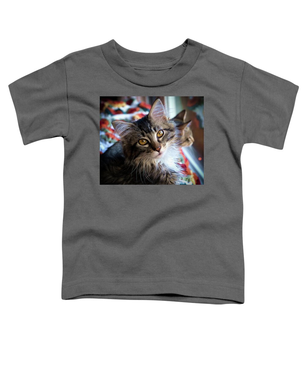 Adorable Toddler T-Shirt featuring the photograph Just Adorable by Jean Noren