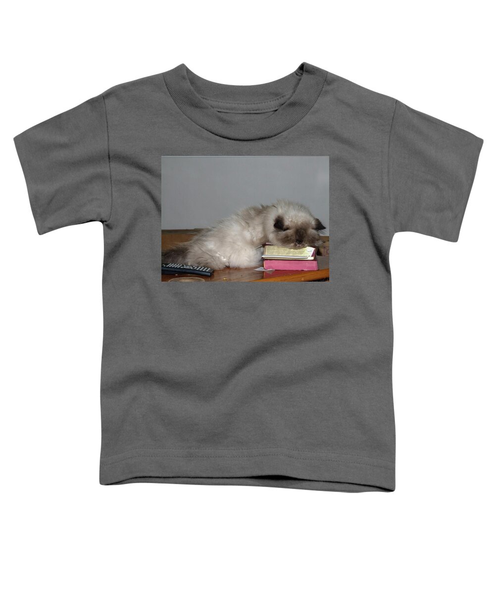 Grey Toddler T-Shirt featuring the photograph Knap Time for Kitty by Chuck Shafer