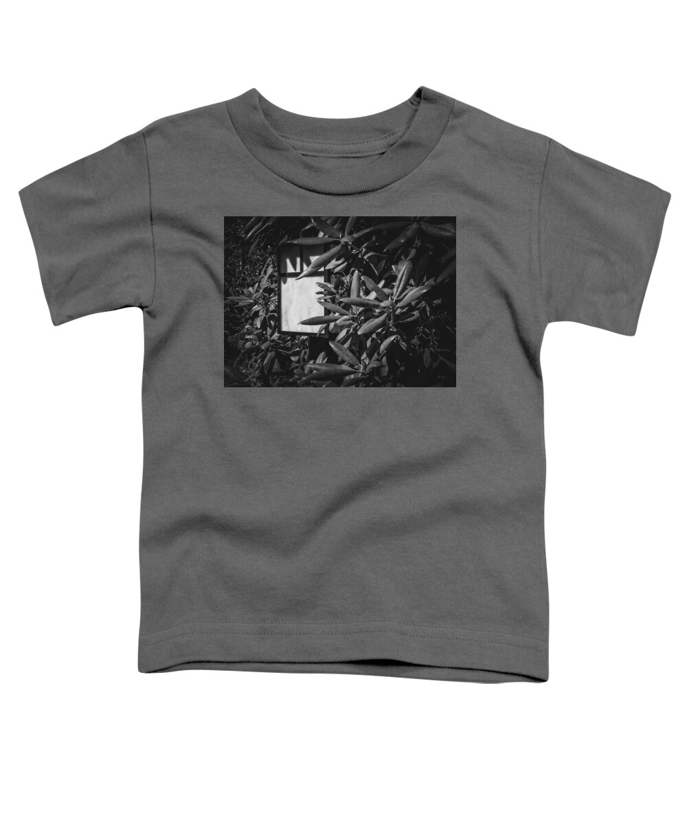 Lamp Toddler T-Shirt featuring the photograph Lamp in Mukilteo by Anamar Pictures