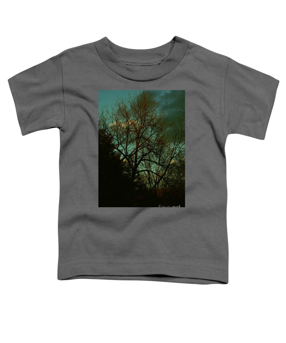 Nature Toddler T-Shirt featuring the photograph Last Light After the Storm by Frank J Casella
