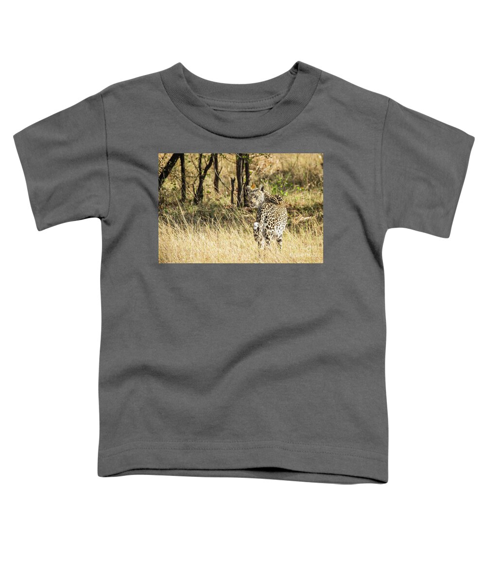 S Africa Toddler T-Shirt featuring the photograph Leopard Leaving by Timothy Hacker