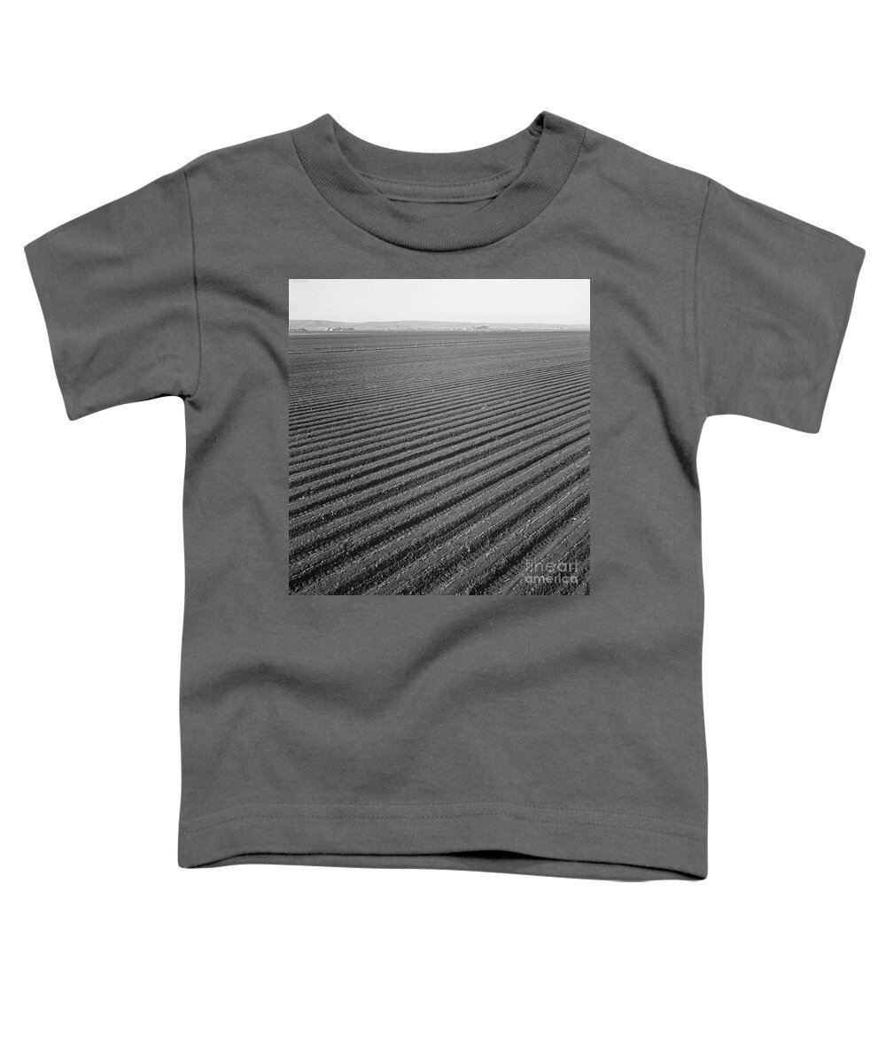 Row Toddler T-Shirt featuring the photograph Lettuce Field In Salinas Valley, California, 1939 by Dorothea Lange