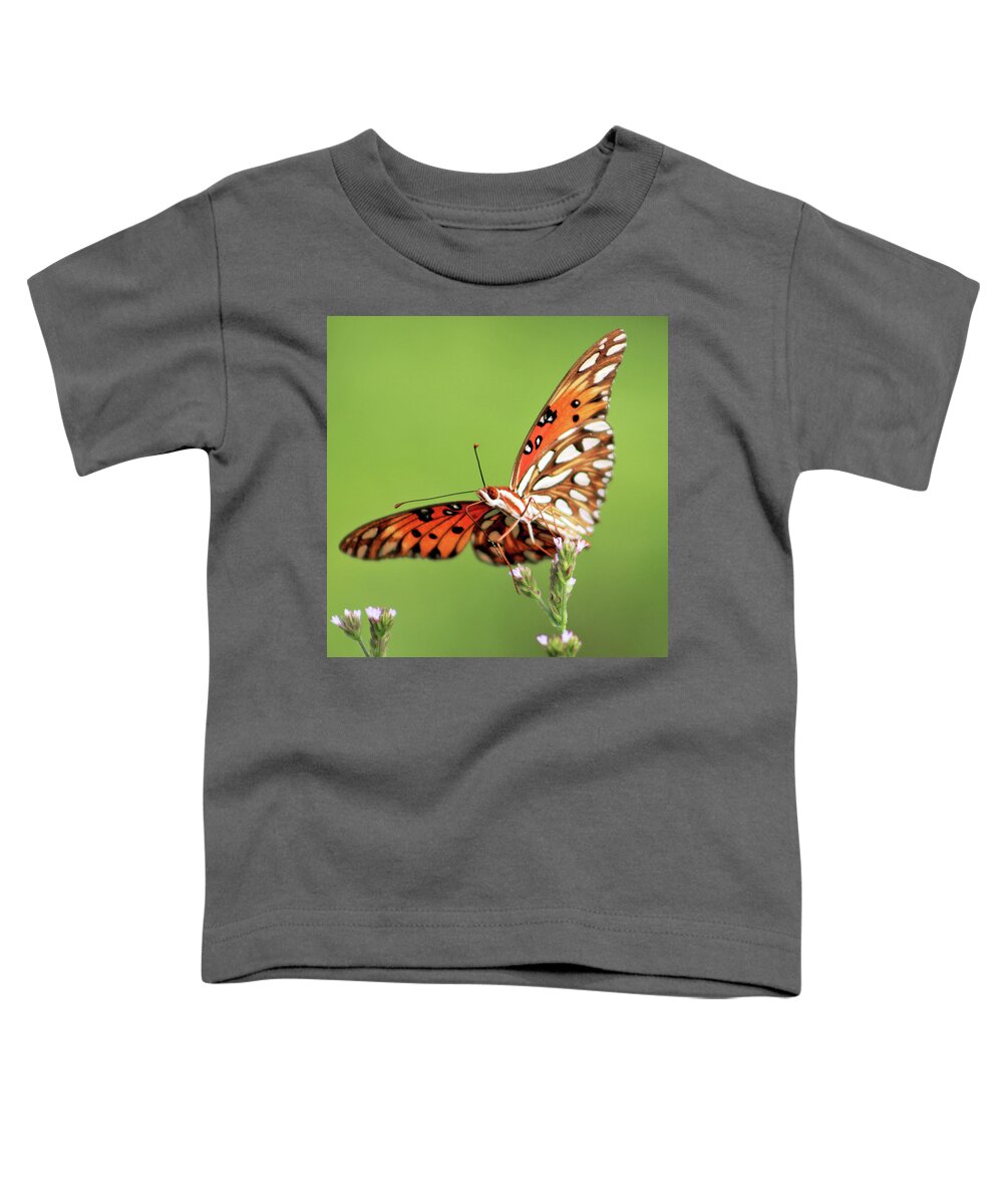Butterfly Toddler T-Shirt featuring the photograph Life in Balance by Michael Allard