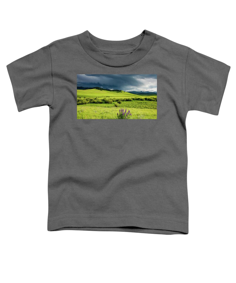 Montana Toddler T-Shirt featuring the photograph Light and Landscape in Big Sky Country by Marcy Wielfaert