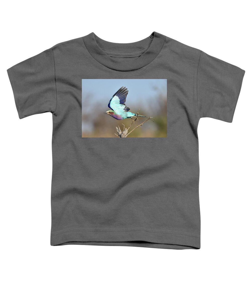 Roller Toddler T-Shirt featuring the photograph Lilac-Breasted Roller on Takeoff by Ben Foster