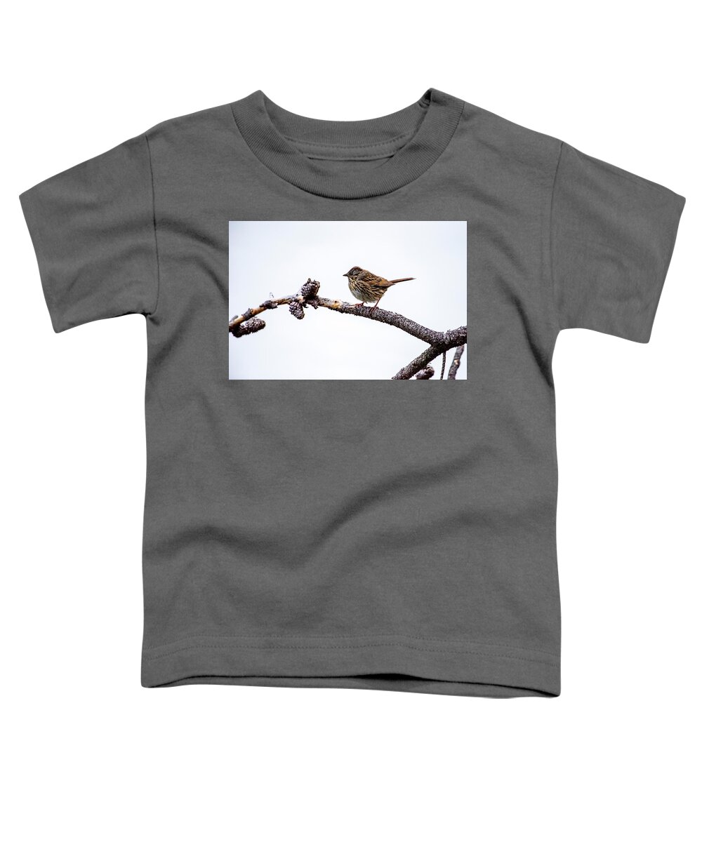 Wildlife Toddler T-Shirt featuring the photograph Lincoln's Sparrow by David Morefield