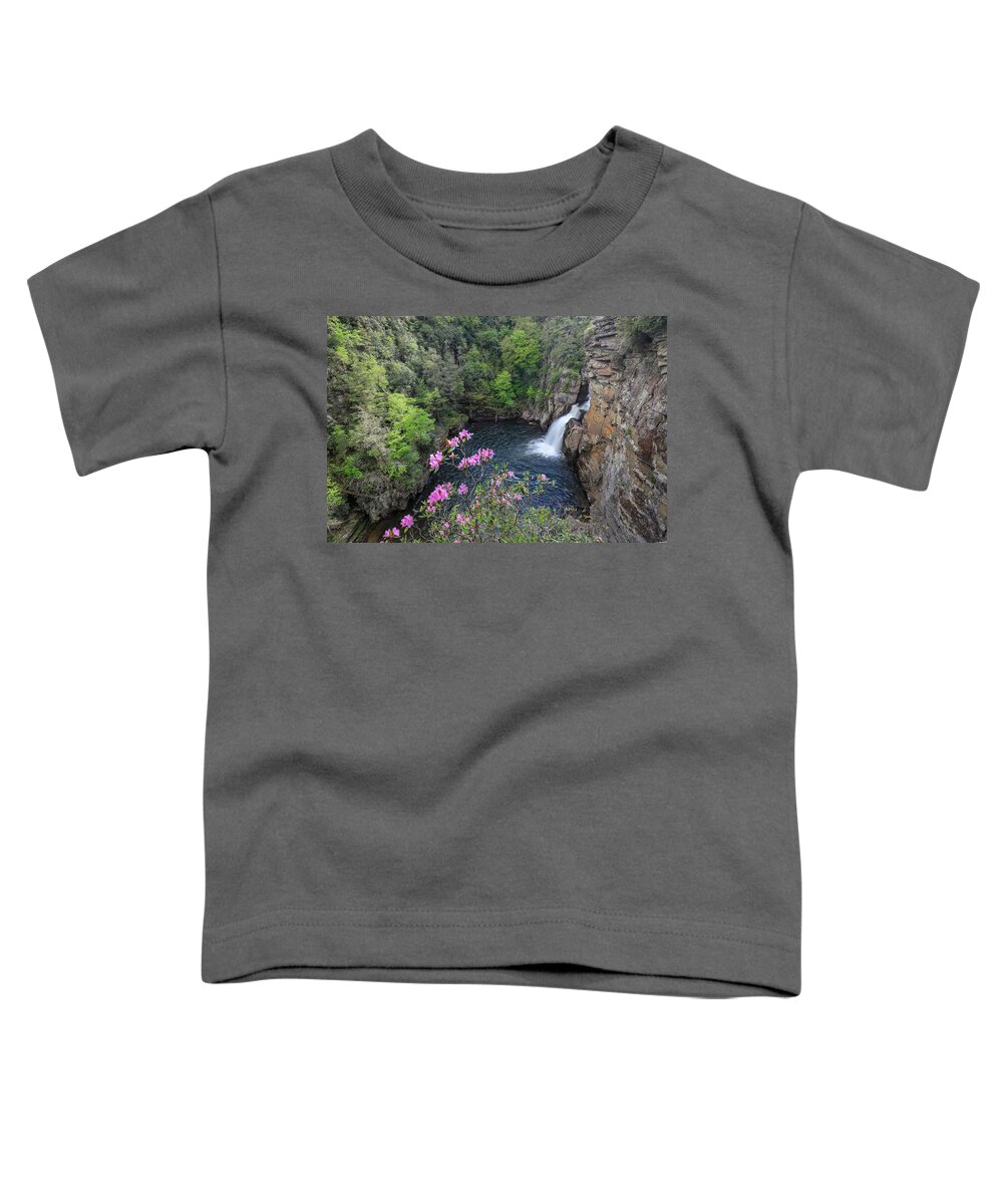 Waterfall Toddler T-Shirt featuring the photograph Linville Flower Falls by Chris Berrier