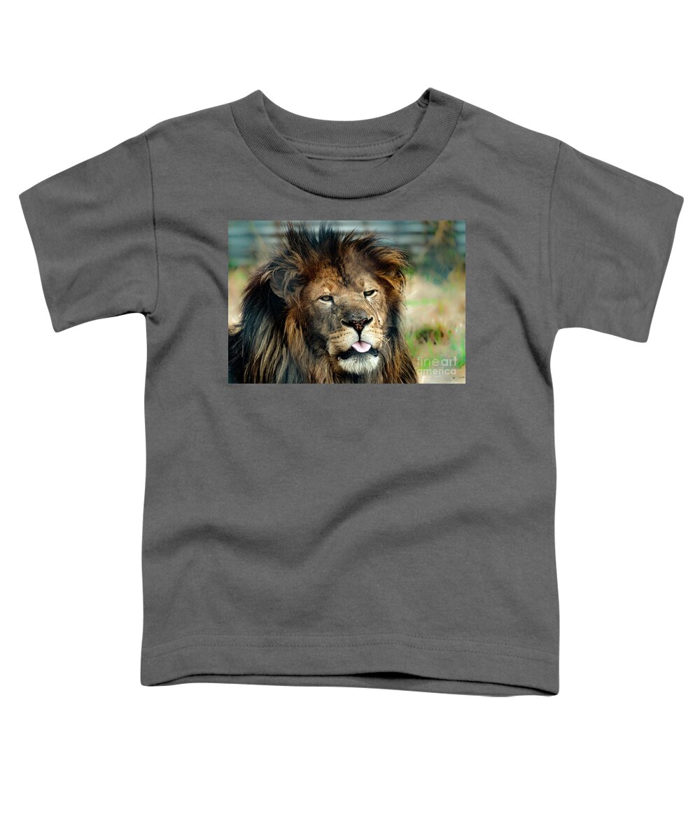 Lion Toddler T-Shirt featuring the photograph Lion mocking the world by Sam Rino
