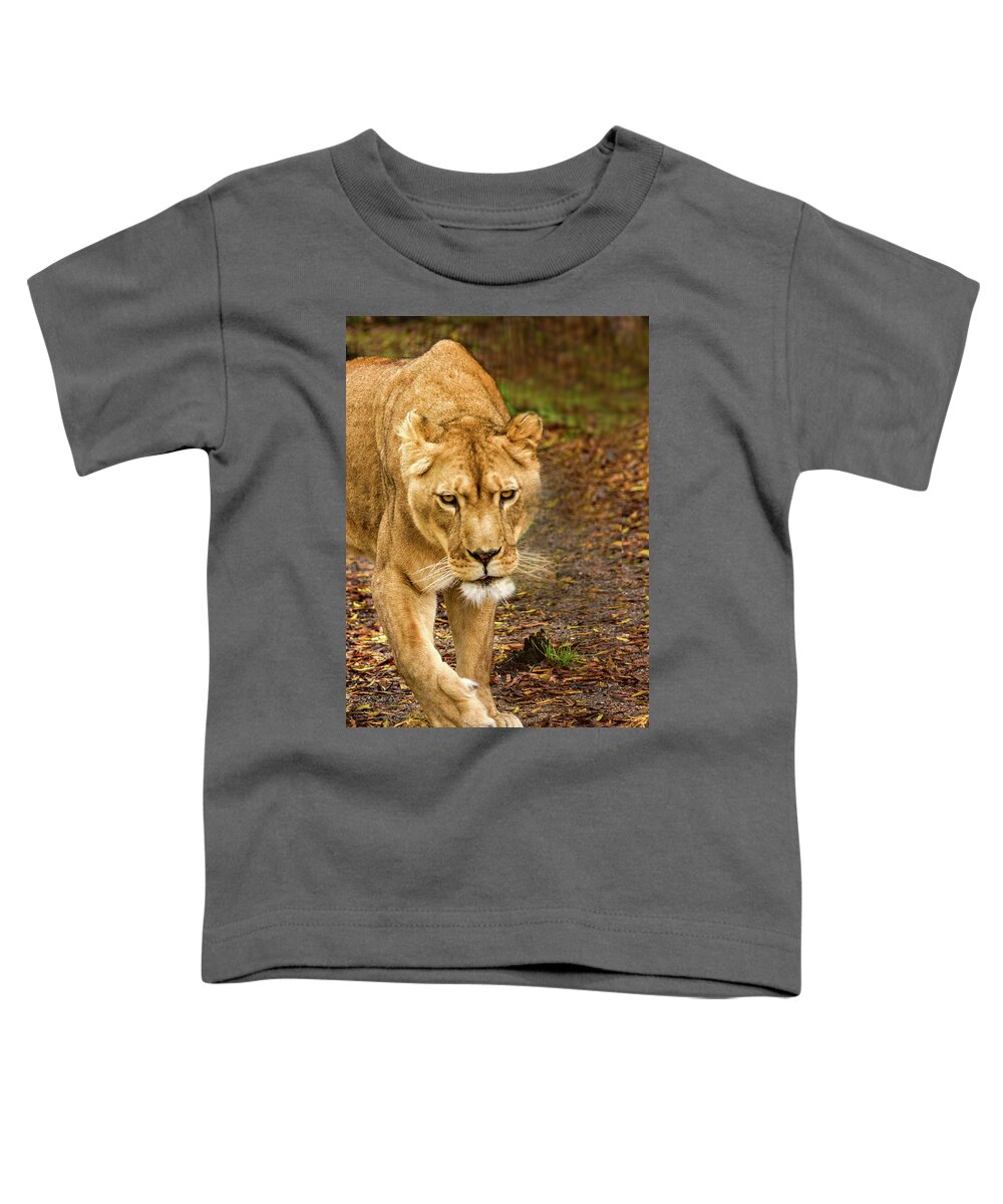 Lioness Toddler T-Shirt featuring the photograph Lioness #2 by Minnie Gallman