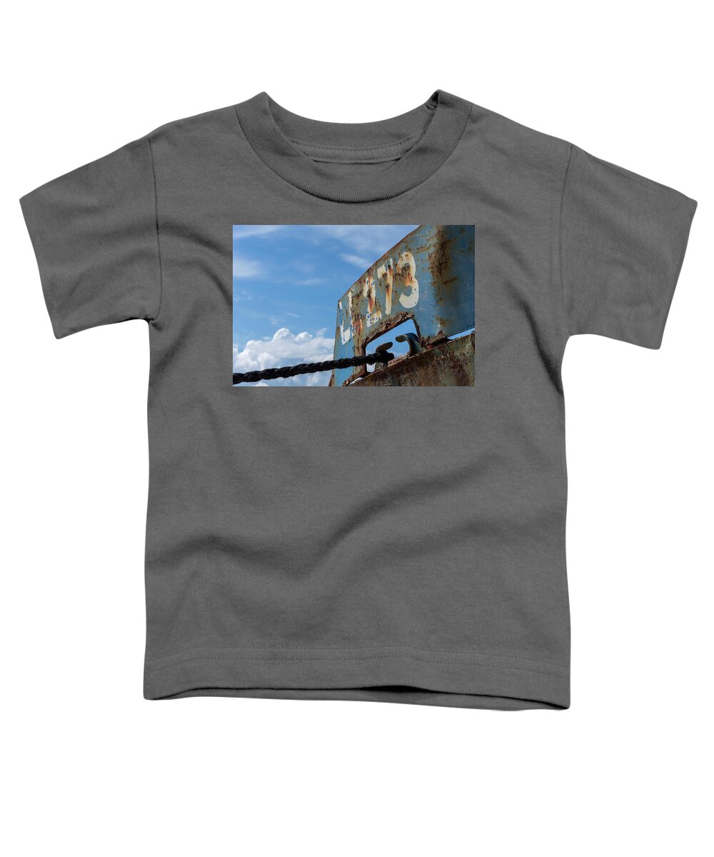 Vicky Leigh Toddler T-Shirt featuring the photograph Ll273 by Steev Stamford