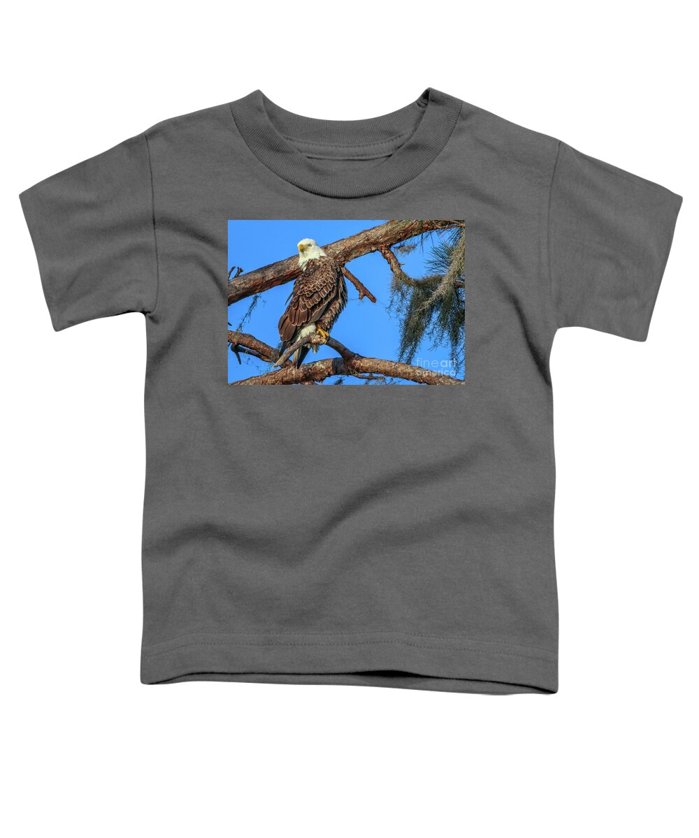 Eagle Toddler T-Shirt featuring the photograph Lookout Eagle by Tom Claud