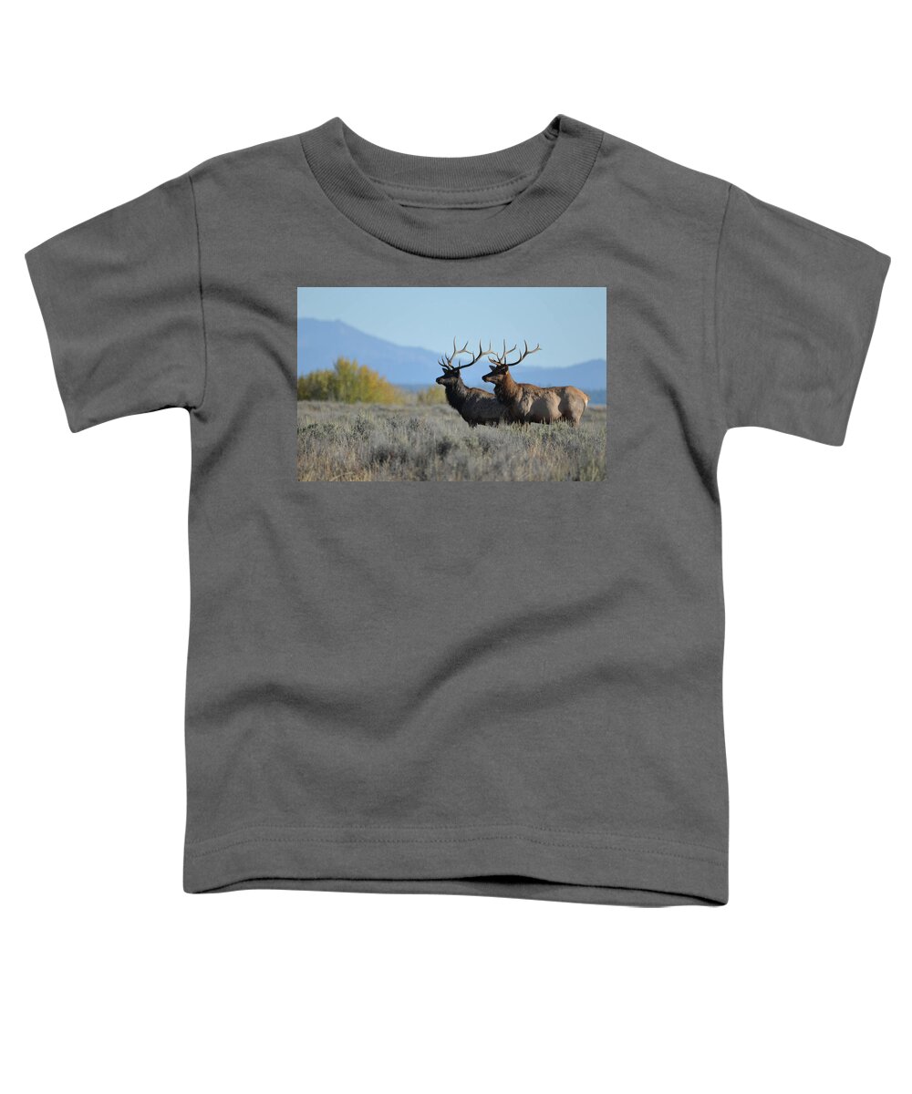 Elk Toddler T-Shirt featuring the photograph Lords of Autumn by Whispering Peaks Photography