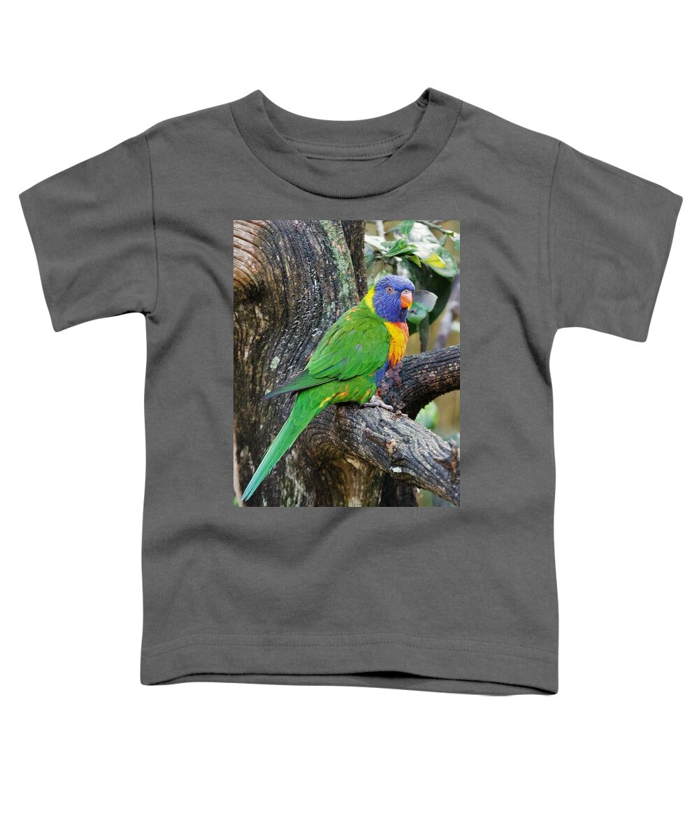 Bird Toddler T-Shirt featuring the photograph Lorikeet Observer by Margaret Zabor