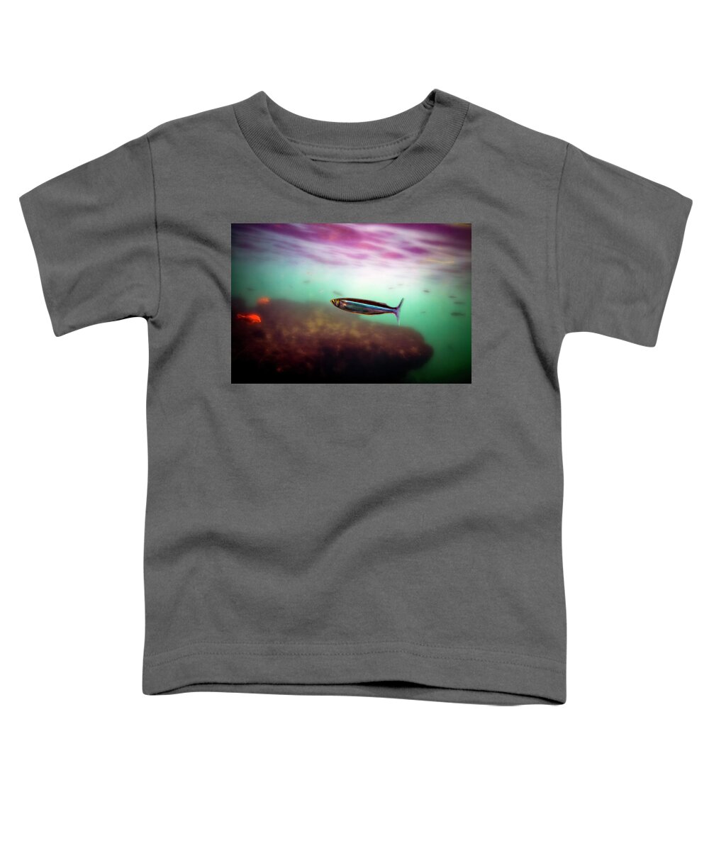 La Jolla Cove Toddler T-Shirt featuring the digital art Mackerel in the Cove by Anthony Jones