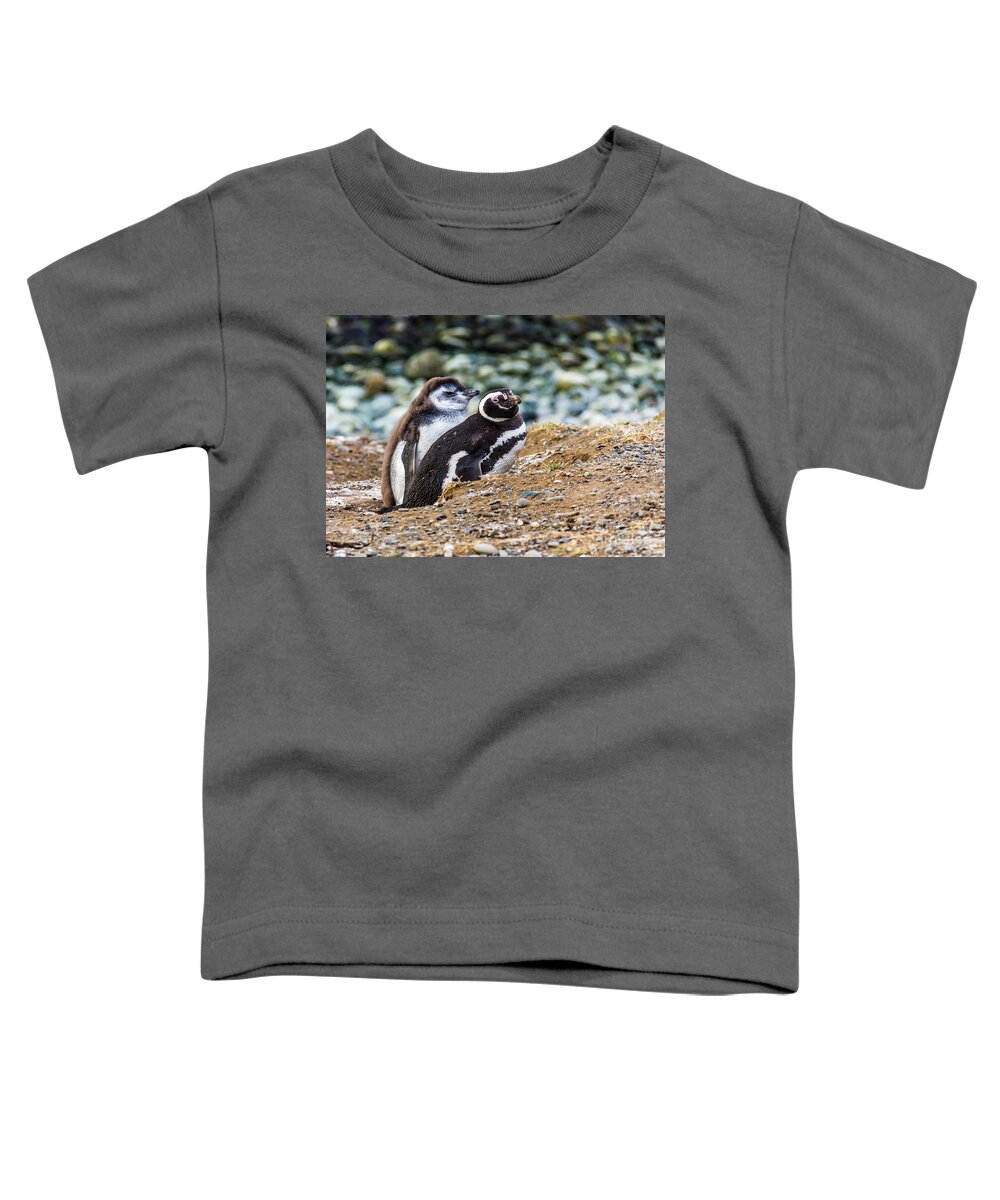 Penguin Toddler T-Shirt featuring the photograph Magellan penguins on the Isla Magdalena, Chile by Lyl Dil Creations