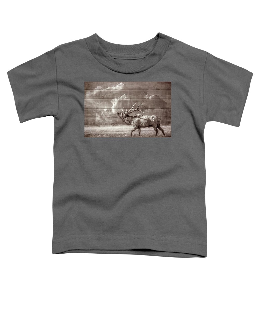 Animals Toddler T-Shirt featuring the photograph Majestic Elk in Sepia by Debra and Dave Vanderlaan
