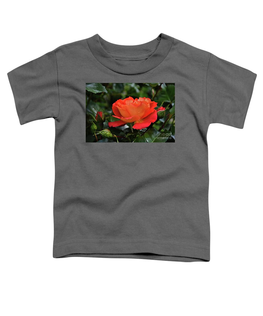 Red Toddler T-Shirt featuring the photograph Majestic Rose by Diana Mary Sharpton
