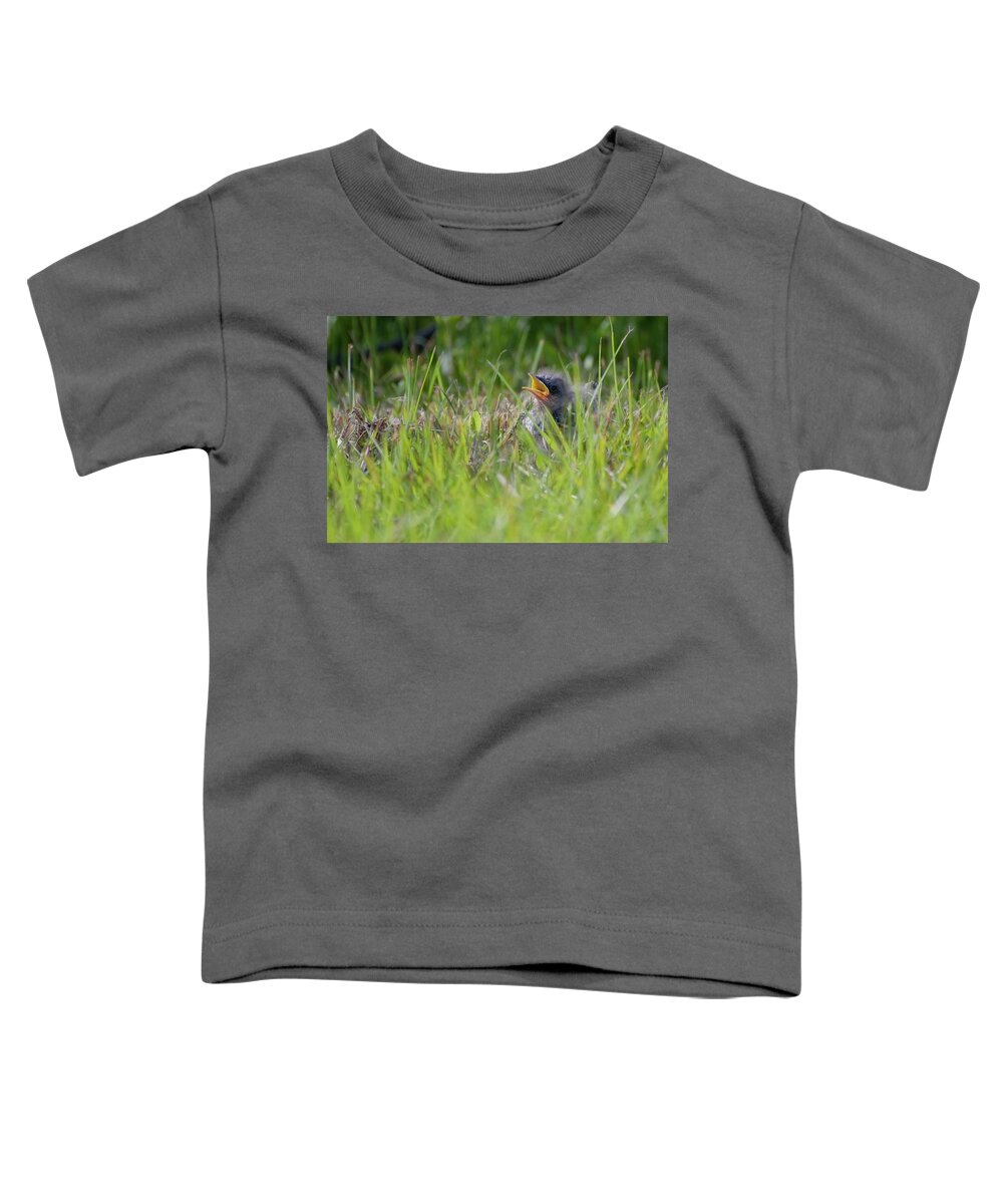 Mockingbird Toddler T-Shirt featuring the photograph Making A Call to Mom Fledgling Mockingbird by T Lynn Dodsworth