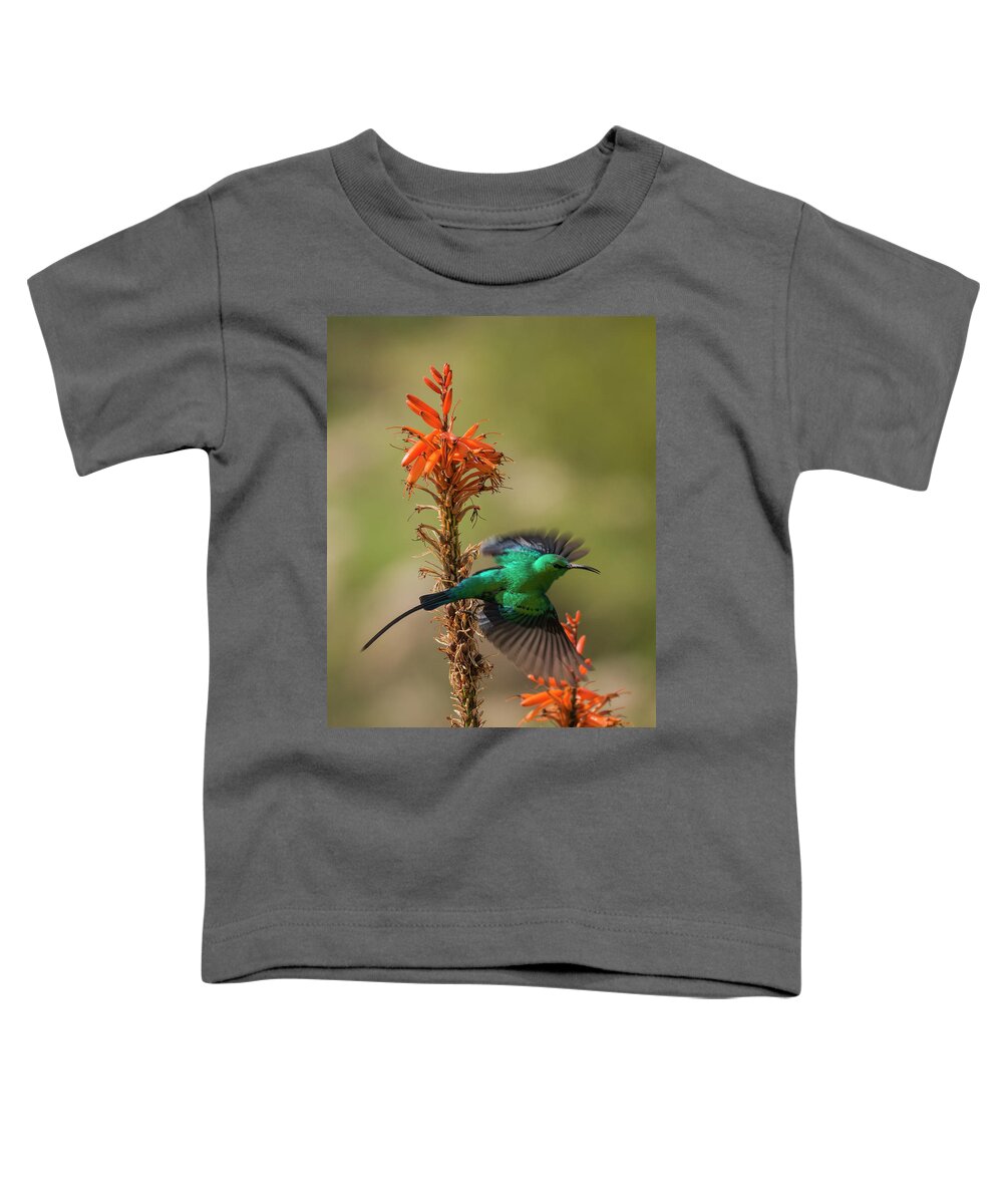 Bird Toddler T-Shirt featuring the photograph Malachite Sunbird 2 by Claudio Maioli